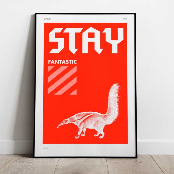Stay fantastic – Bild 2
